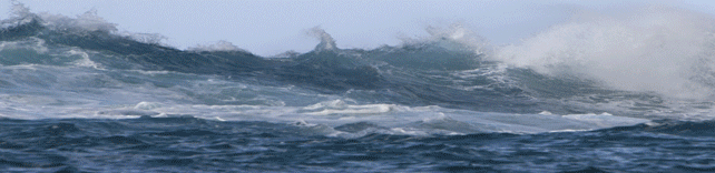 Sea